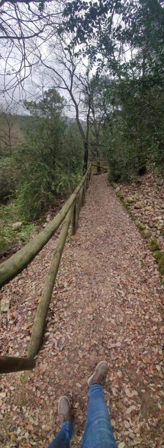 Rio Hereza Arroyo Frio Zewnętrze zdjęcie